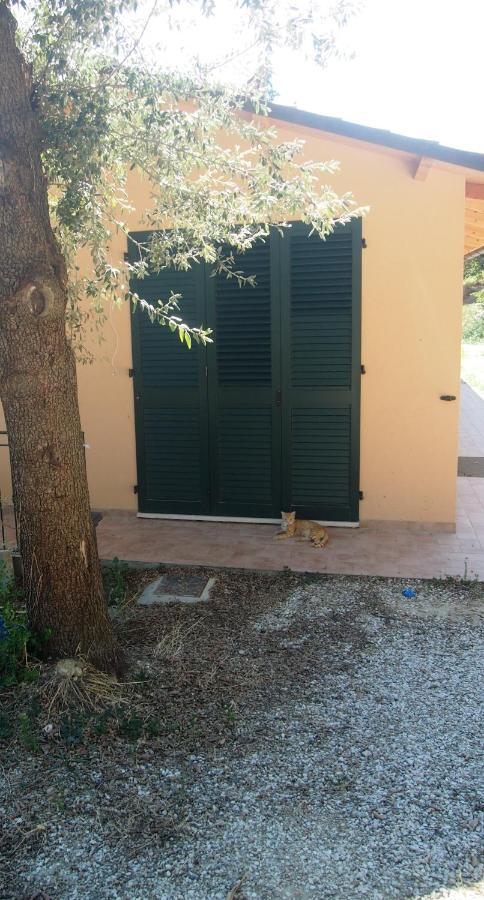 Agriturismo Ardizio 43 Pesaro Exteriör bild