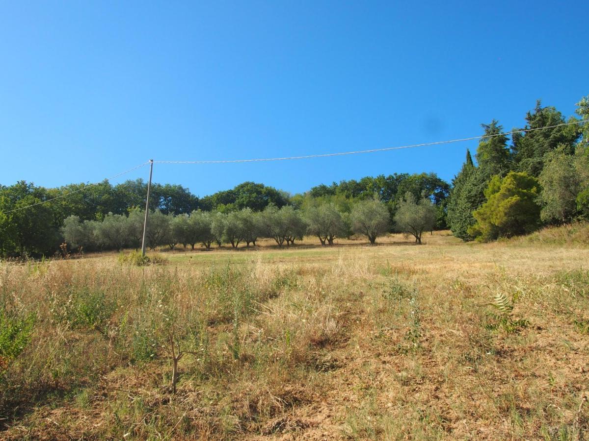 Agriturismo Ardizio 43 Pesaro Exteriör bild