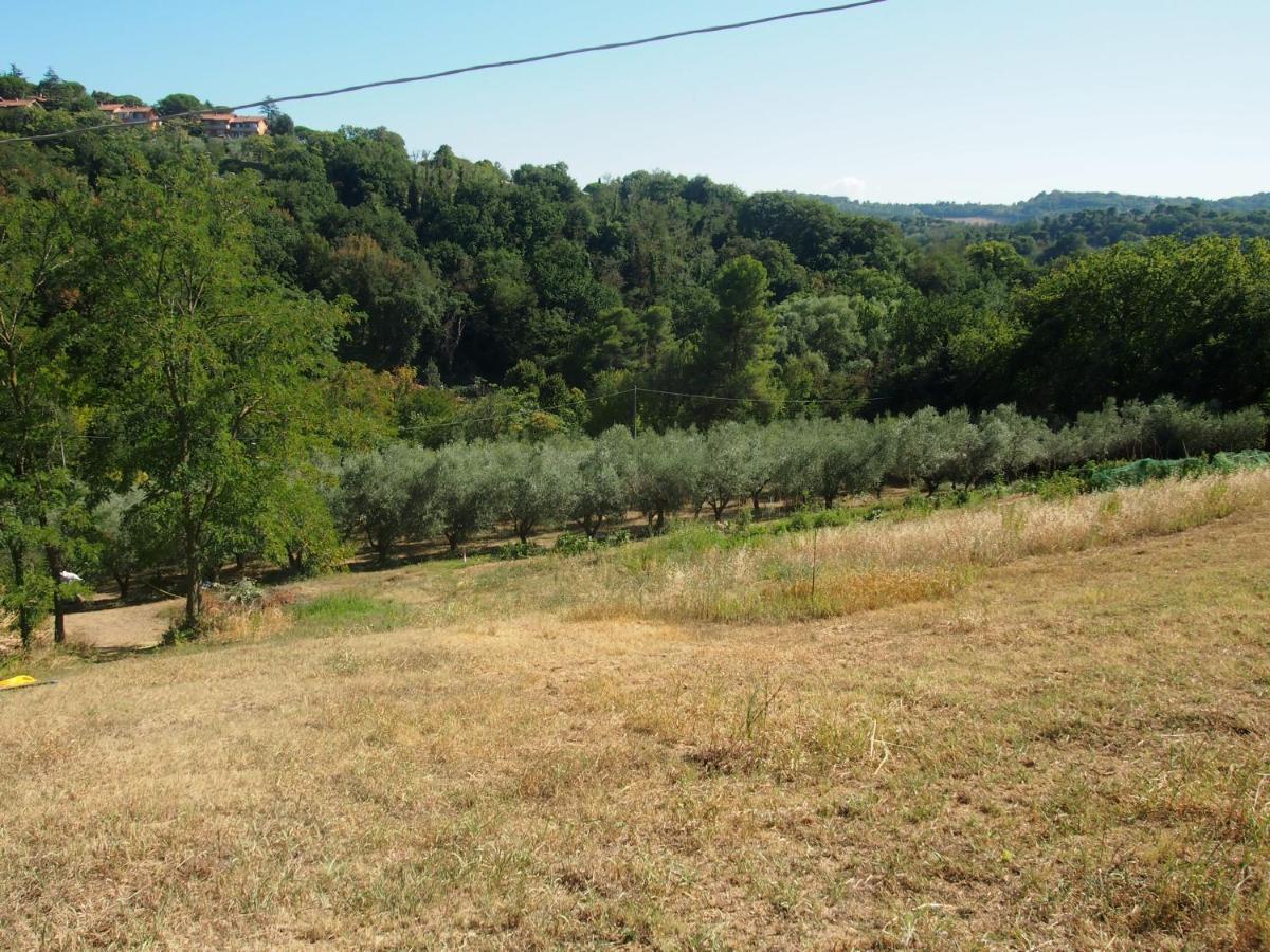 Agriturismo Ardizio 43 Pesaro Exteriör bild